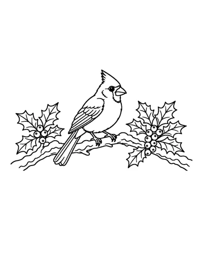 Detailed Cardinal Coloring Page: free printable line art