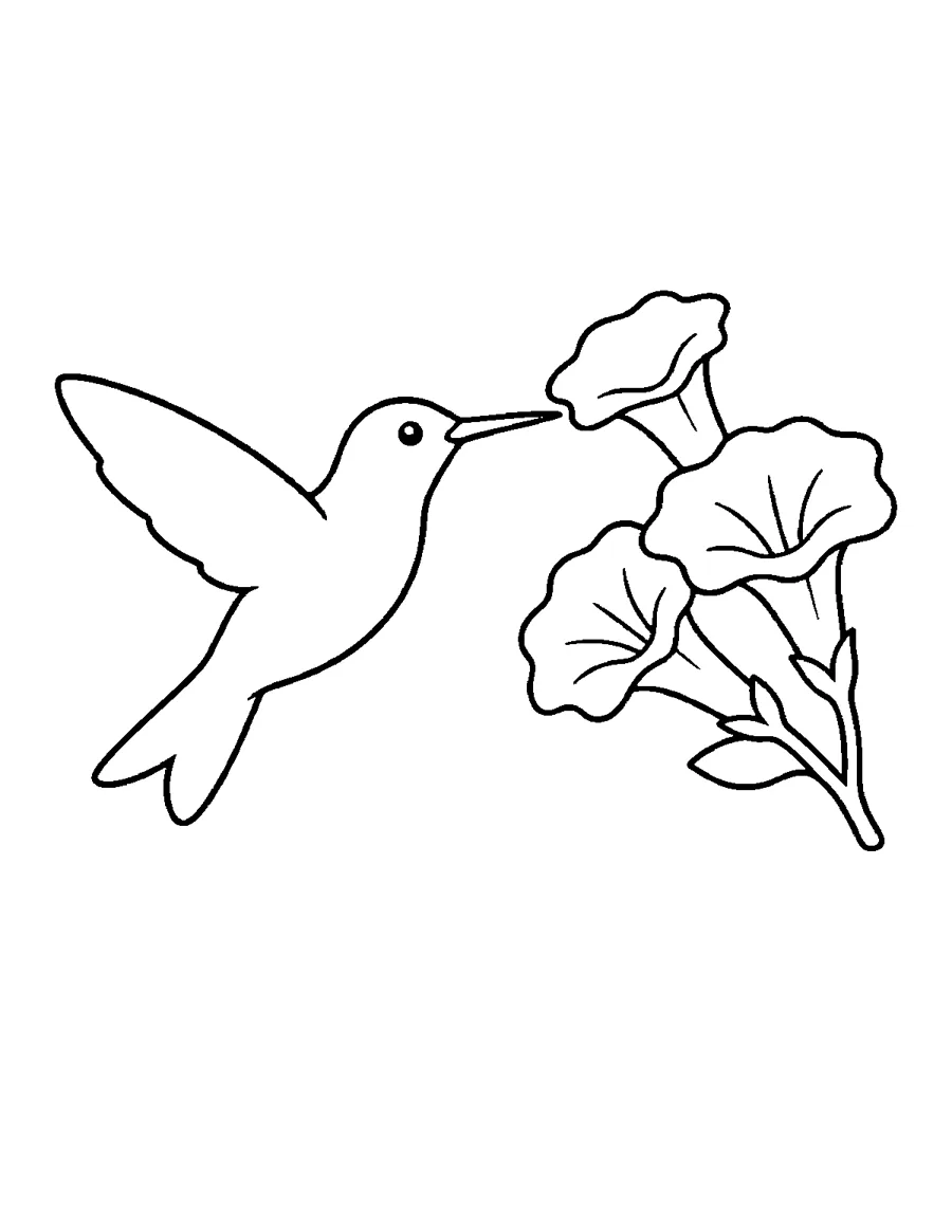 Ruby-throated Hummingbird Coloring Page: Hummingbird hovering by three large trumpet flowers. Thick lines and big spaces, easy to color for beginners and seniors.