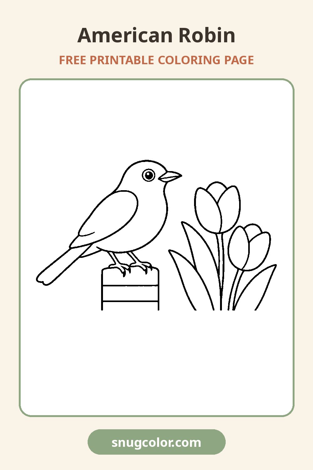 American Robin Coloring Page Pinterest pin