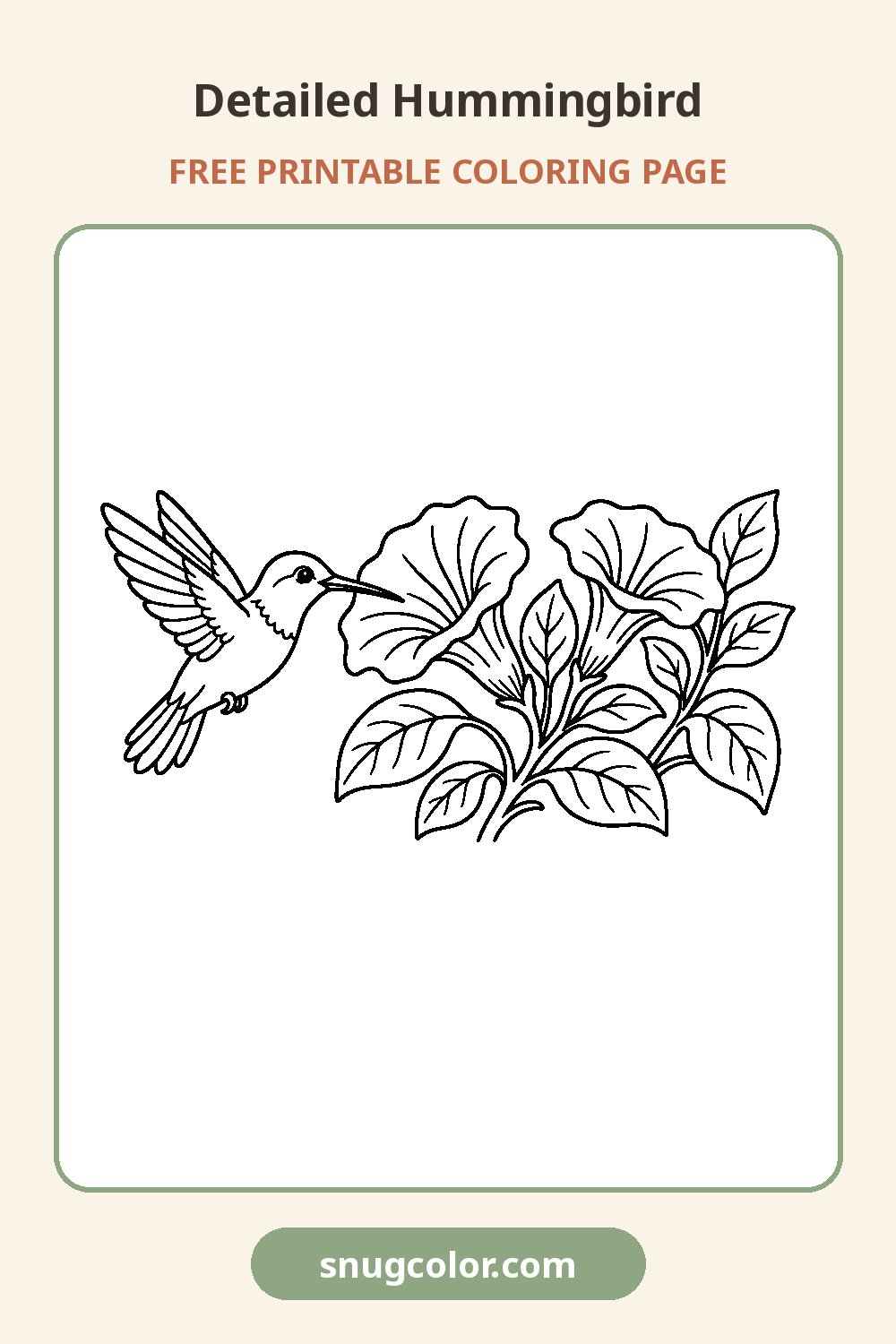 Detailed Hummingbird Coloring Page Pinterest pin
