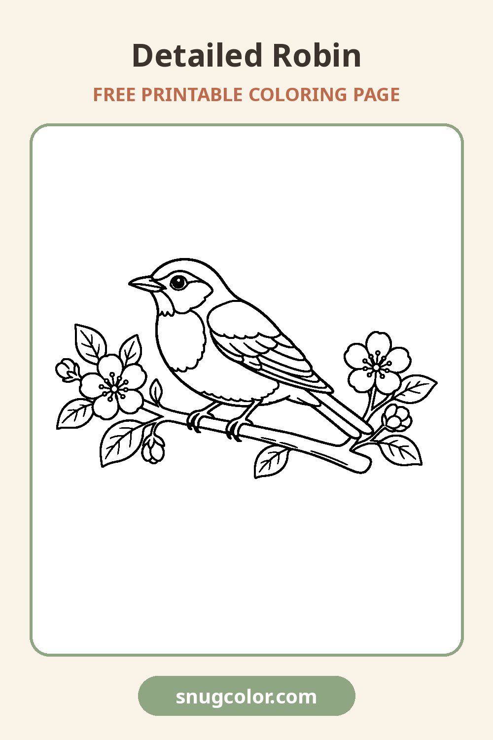 Detailed Robin Coloring Page Pinterest pin