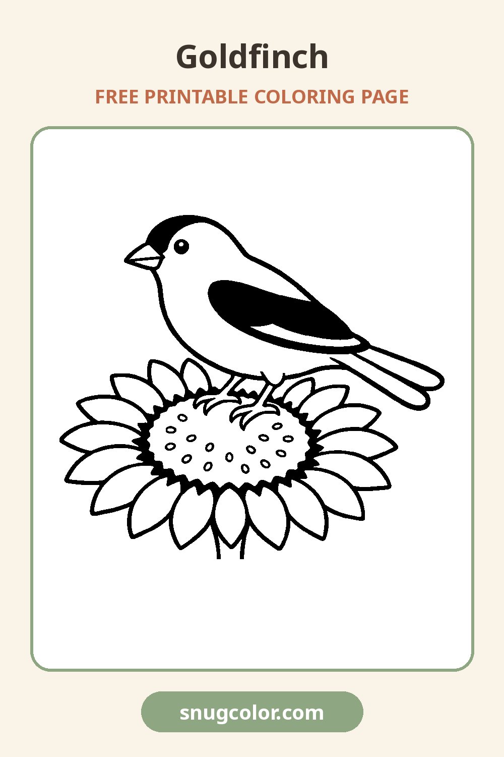 Goldfinch Coloring Page Pinterest pin